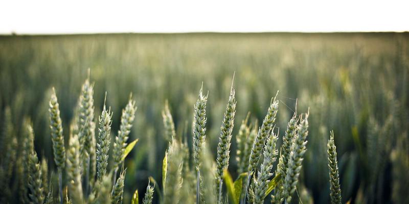 温州商业地产投资全解析：写字楼、商铺与社区底商的选址策略与风险评估