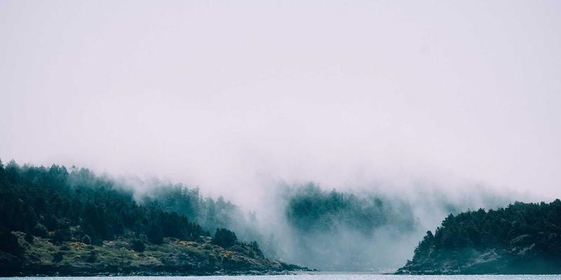 温州学区房政策最新解读：鹿城、瓯海重点中小学划片范围与房价关联分析