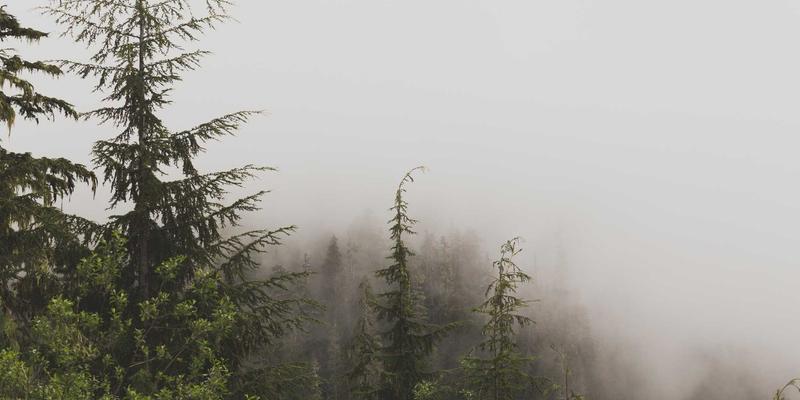 温州学区房最新政策解读与购买指南：把握新房机遇，掌握关键房产信息