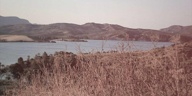 温州房产交易指南：洞悉新房与二手房市场，把握置业良机