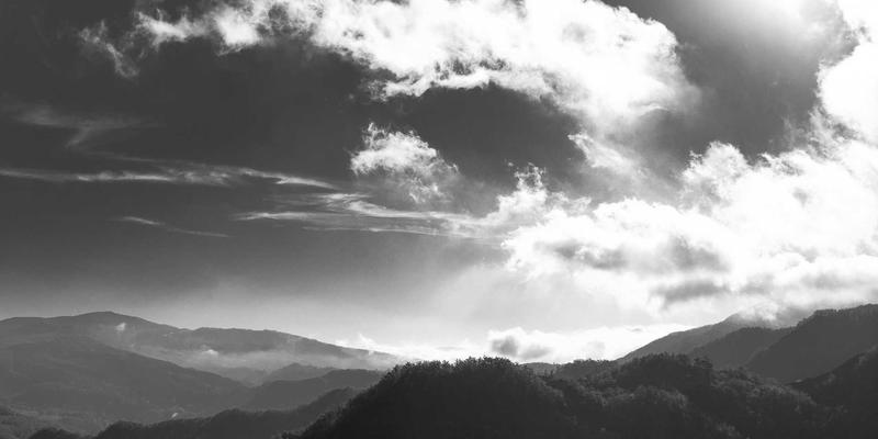 温州房产市场全景解析:二手房、新房与交易趋势深度观察