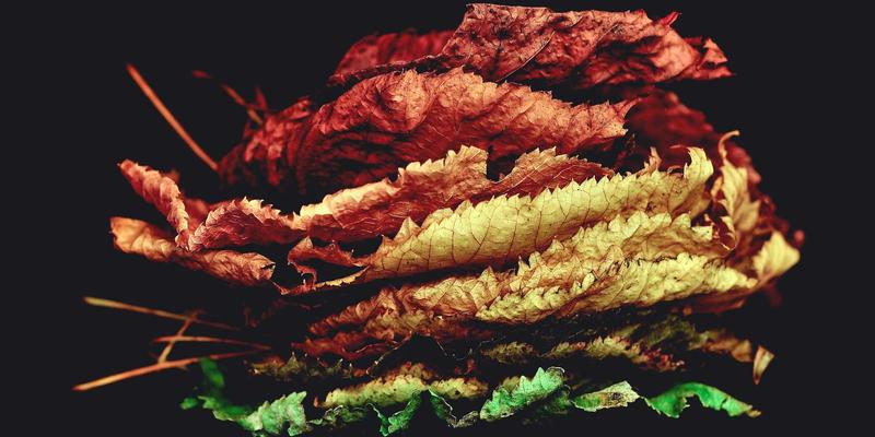 温州房产租赁市场深度解析：长租公寓与普通住宅租金收益对比