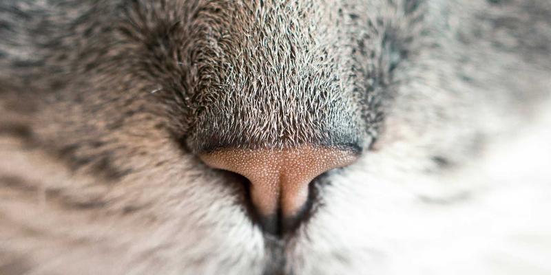 温州房产置换策略：把握以小换大、以旧换新的最佳时机与资金规划