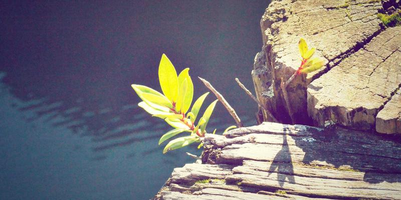 温州法拍房购买全攻略：风险规避、竞拍流程与实地看房技巧 | 深度解析温州房产交易